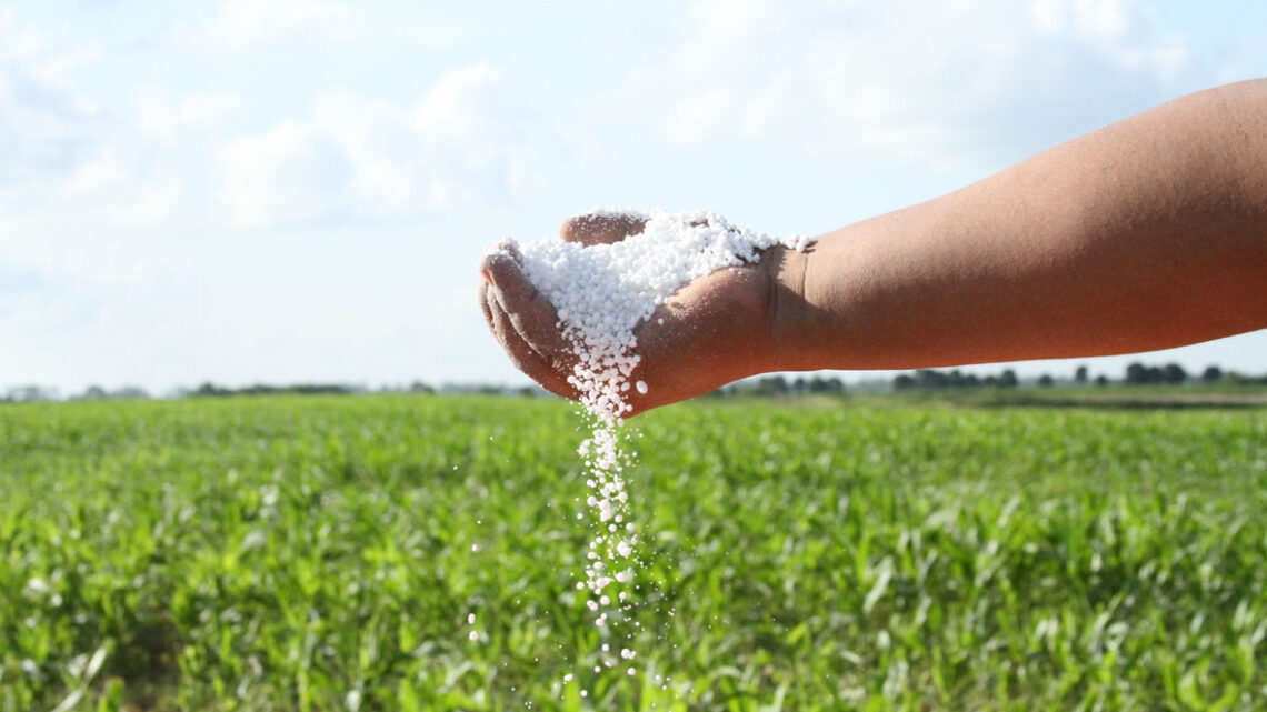 Fondo rotatorio para la compra de fertilizantes
